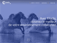Tablet Screenshot of eliadis.com